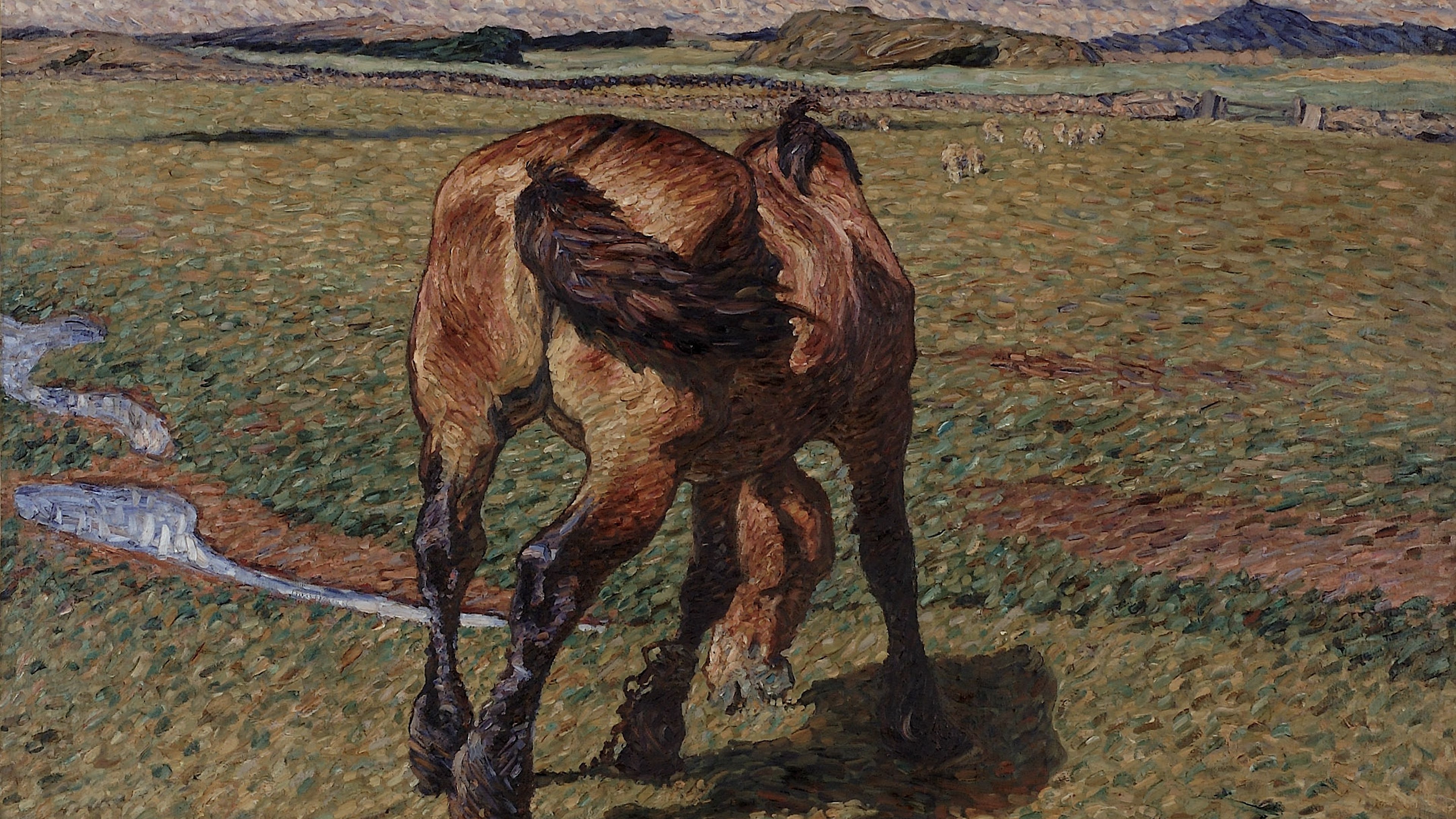 Upland Grazing